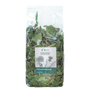 MNISZEK LEKARSKI - TIVO