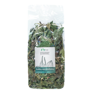 BABKA SZEROKOLISTNA - TIVO