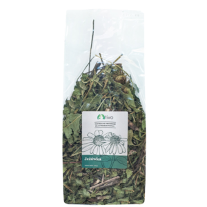 JEŻÓWKA PURPUROWA - TIVO